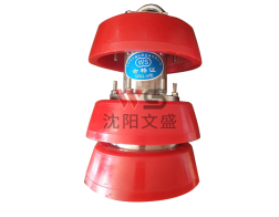 浙江不锈钢清管器